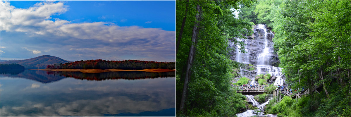 photography hydrangeas and waterfall